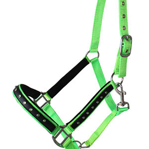 Premium Nylon Horse Halter Neopreno Acolchado con cuerda de plomo Latón Hardware Rhinestone Headcollar Venta al por mayor Suministro directo de fábrica - Product Image 1