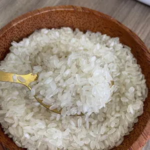 5% di riso CALROSE a grani medi spezzati nuovo raccolto, riso vietnamita esportazione di alta qualità, migliore commercio all'ingrosso Mr Glory Ngo (+ 84) 369 912 901
