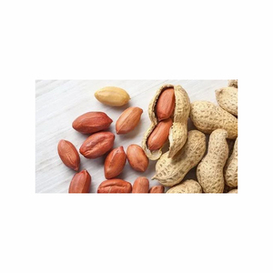 Venta al por mayor de cacahuetes crudos orgánicos sin cáscara cacahuetes molidos cacahuetes gigantes del proveedor de cacahuetes tostados con sabor a pacana - Product Image 5