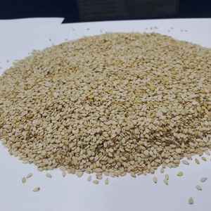 Graines de sésame blanches 100 % pures de qualité conventionnelle, pureté élevée 99,97 % pour la transformation alimentaire et la pâtisserie - Product Image 1