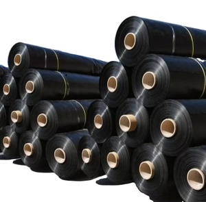 2025 Tốt Nhất Bán Hàng 0.5Mm 0.75Mm Lưu Vực Màng Đất Cá Ao Lót Đập Lót Bạt Cho Câu Cá Ao Lớn Ao Lót Nước Lót - Product Image 4