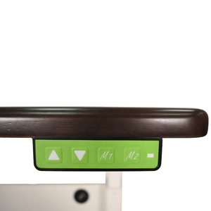 Mesa de Trabajo de Altura Ajustable de 117 cm con Doble Motor, Muebles de Oficina para Almacenamiento en Garaje, Mesa de Pie y Sentado de Alta Calidad - Product Image 3