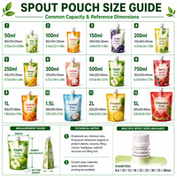 Op maat bedrukte staande sapzak met tuit, BPA-vrij, food grade, flexibele Doypack voor dranken, fruitpuree en vloeibare verpakkingen