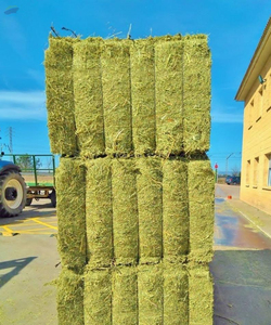 Foin de luzerne de haute qualité-séché au soleil, riche en fibres-approvisionnement en gros - Product Image 4