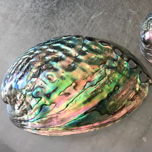 Concha de abulón de Vietnam, venta al por mayor, concha de abulón pulida brillante para creaciones de joyería, decoración del océano y proyectos artesanales - Product Image 1