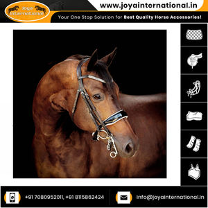 Uy Lumiere questrian rideline uxury eaeath riridle rior Horse plegado - Product Image 6