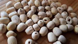 เมล็ดบัวขาวธรรมชาติสำหรับใช้ทำอาหารอุดมไปด้วยสารอาหารเหมาะสำหรับอาหารเพื่อสุขภาพมีข้อมูลทองคำ99ข้อมูลแล้วตอนนี้ - Product Image 3