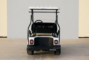 Carrito de Golf WLDT2 2021, Extremadamente Limpio, Exterior Blanco, Interior Beige, Mini EV, 2 Plazas - Product Image 6