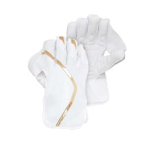 Gants de maintien de guichet de cricket en cuir personnalisés OEM avec protection des doigts Gants de guichet de cricket Gants de maintien de haute qualité - Product Image 1