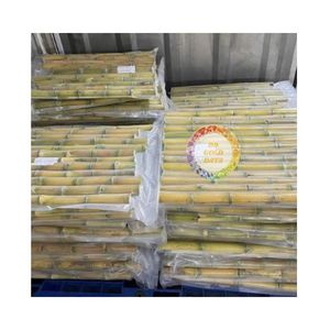 MEJOR PRECIO DE CAÑA DE AZÚCAR CONGELADA TIDBIT AGRICULTURA VIETNAM VENTA DE CAÑA DE AZÚCAR TROPICAL A PRECIO COMPETITIVO DE PROVEEDOR DE VIETNAM - Product Image 5
