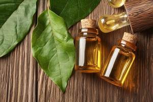 Aceite de Copaiba 100% Puro y Natural con Certificaciones ISO y GMP, Cantidad a Granel, Certificaciones ISO y GMP, Aceite de Copaiba Más Vendido - Product Image 5