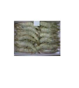 Camarón Vannamei congelado fresco de alta calidad disponible a bajo costo para compra a granel y envío global - Product Image 2