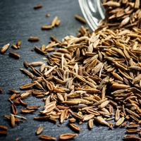 Graines de cumin crues de haute qualité épices et herbes simples vente d'usine emballage traitement brut