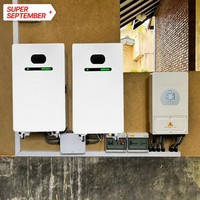 Système de stockage d'énergie domestique LiFePO4 51,2 V 314 Ah 15 kWh avec BMS intelligent, montage mural, 6000 cycles, pour la sauvegarde de toute la maison