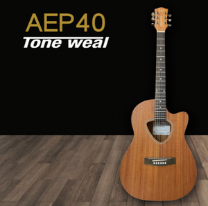 Guitare acoustique EA36 - Product Image 1