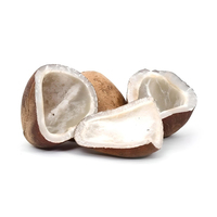 Coco Seco Entero a Granel / Coco Deshidratado / Bolas de Coco Copra