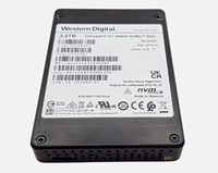 قرص صلب SSD للمؤسسات من ويسترن ديجيتال طراز WUS4C6432DSP3X3 سعة 3.2 تيرابايت DC SN840 (مقاس 2.5 بوصة) U.2 PCIe-3.0 NVMe لخوادم SSD