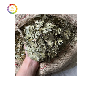 Prix compétitif Vietnam Feuilles de séné séchées Vente en gros pour exportation Emballage en vrac Approvisionnement direct d'usine Fiable de haute qualité - Product Image 5