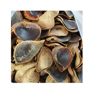 Vỏ sò tự nhiên/Kho báu của biển/giá trị hợp lý/sản xuất tại Việt Nam - Product Image 3