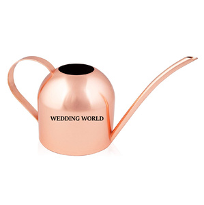 Black Powder Coated Metal Water Can Premium Quality Handmade Watering Can Classic Stylish Garden Ware Water Can - Product Image 4