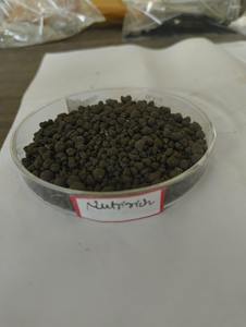 Granulés d'engrais organique bio-fortifié Nutririch de haute qualité, enrichi en NPK, engrais naturel pour l'agriculture au meilleur prix - Product Image 3