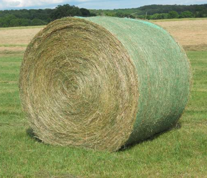 Balles de foin d'alfalfa de haute qualité, fourrage séché de qualité supérieure pour bovins, chevaux, porcs, poulets, chiens et poissons, à vendre - Product Image 6
