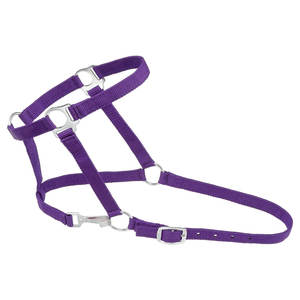 Haute qualité économie Nylon cheval licou réglable nez couronne entraînement quotidien manipulation ajustement boucles en métal plusieurs tailles disponibles - Product Image 2