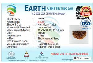 Tarjeta de regalo Mukhi Rudraksha Piedra espiritual india tradicional - Product Image 4