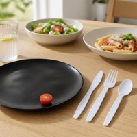 Ensemble de couverts en plastique blanc jetables, couteau, fourchette, cuillère, sans danger pour les aliments, pour la restauration et les fêtes