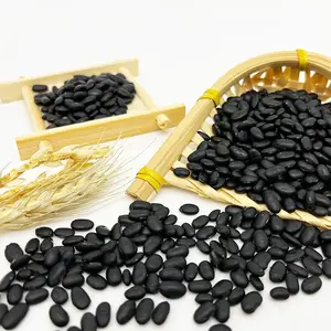 OEM ODM Black Beans Custom Small To Medium Round black eye beans Wholesale fermented black beans