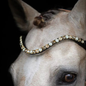 Brocha de caballo de cuero personalizada hecha a mano, accesorios de tachuela ecuestre elegante, brida brillante, diseño personalizado de alta calidad para caballo - Product Image 1