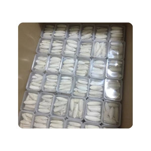 Hueso de Sepia de Primera Calidad para Fundición de Joyería de Alta Definición y Base Mineral Sostenible para Trabajos de Metalurgia Profesional - Product Image 6