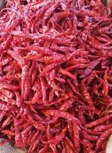 Chiles Teja Rojos sin Tallo de Primera Calidad con Color Natural Vibrante, Alto Valor de Asta, Especias de Longitud Media Ideales para un Sabor Rico - Product Image 2