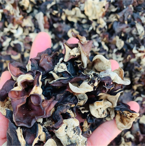 Champignons noirs séchés de qualité supérieure, type « oreilles de moineau », pour l'exportation et la vente en gros - Product Image 3