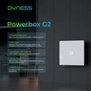 Dyness Powerdepot G2 51.2V 100AH 5.12KWH Powerwall Batería Lifepo4 Powerwall IP66 Batería de Litio de 5kw Almacenamiento de Energía Doméstica - Product Image 6