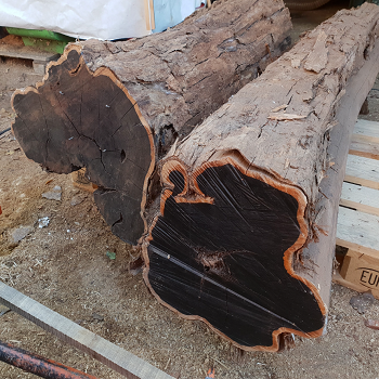 Высококачественное сырье bubinga древесина красного дерева iroko древесина Тиковая сосновая бревна Bilinga фанера агар древесина африканская черная древесина