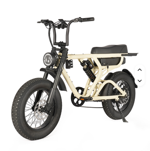 Bicicleta Eléctrica de Montaña de Suspensión Completa 2025/2026, 1000W, Neumáticos Gruesos de 20 Pulgadas, Batería de Litio, Gran Venta - Product Image 1