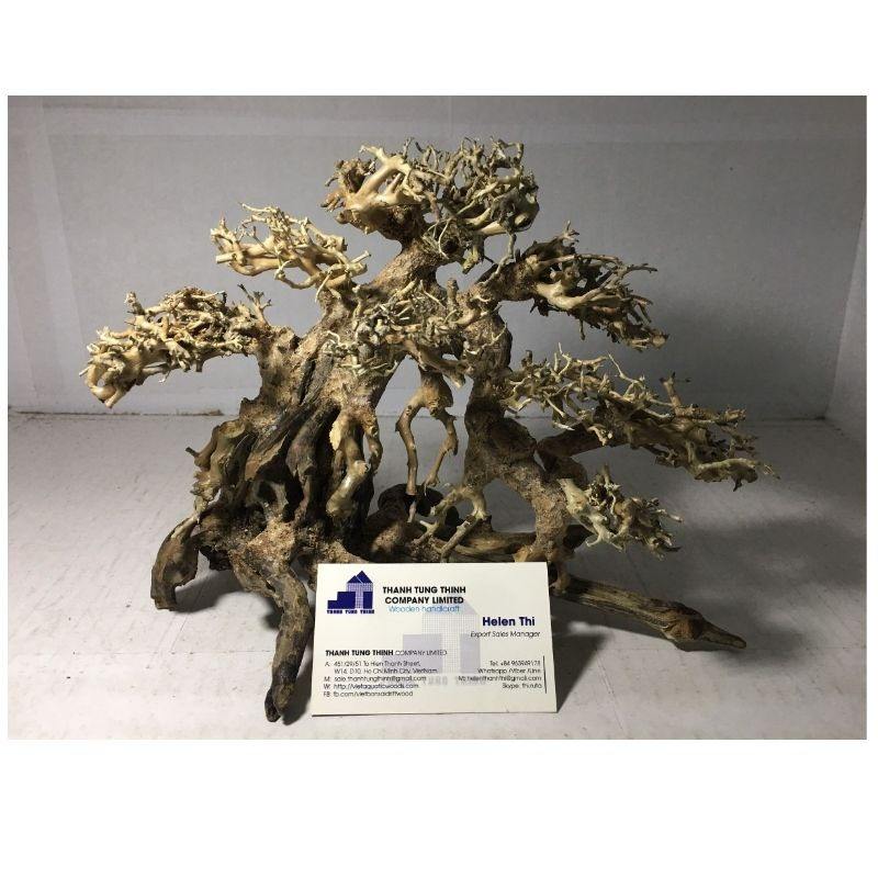 ธรรมชาติ