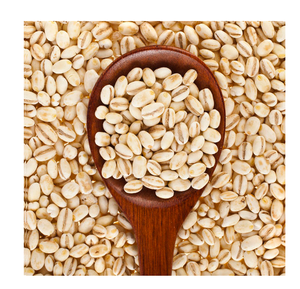 Grano de cebada Natural de calidad superior Venta a granel para ganado Caballo Cerdo Pescado Perro Alimentación Elaboración y uso de alimentos - Product Image 4