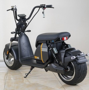 Scooter Eléctrico Fat Tire Door EEC, COC Citycoco 3000W con Batería Grande de 55A - Product Image 4