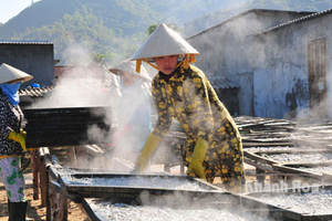 Fruits de mer Nourriture Boisson Nutritive Vietnam Anchois Séchés Machine Prix Usine - Product Image 5