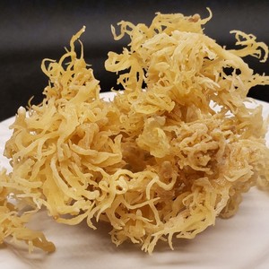 สาหร่าย Eucheuma cottonii สาหร่ายสาหร่ายอบแห้งออร์แกนิคจากธรรมชาติแห้งจากทะเลแห้งจำนวนมาก - Product Image 4