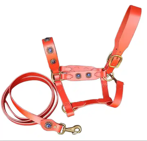 Venta caliente cuero de vaca marrón caballo ecuestre Headstall pecho Collar cuero genuino inglés sillín brida diseño elegante Nylon - Product Image 1