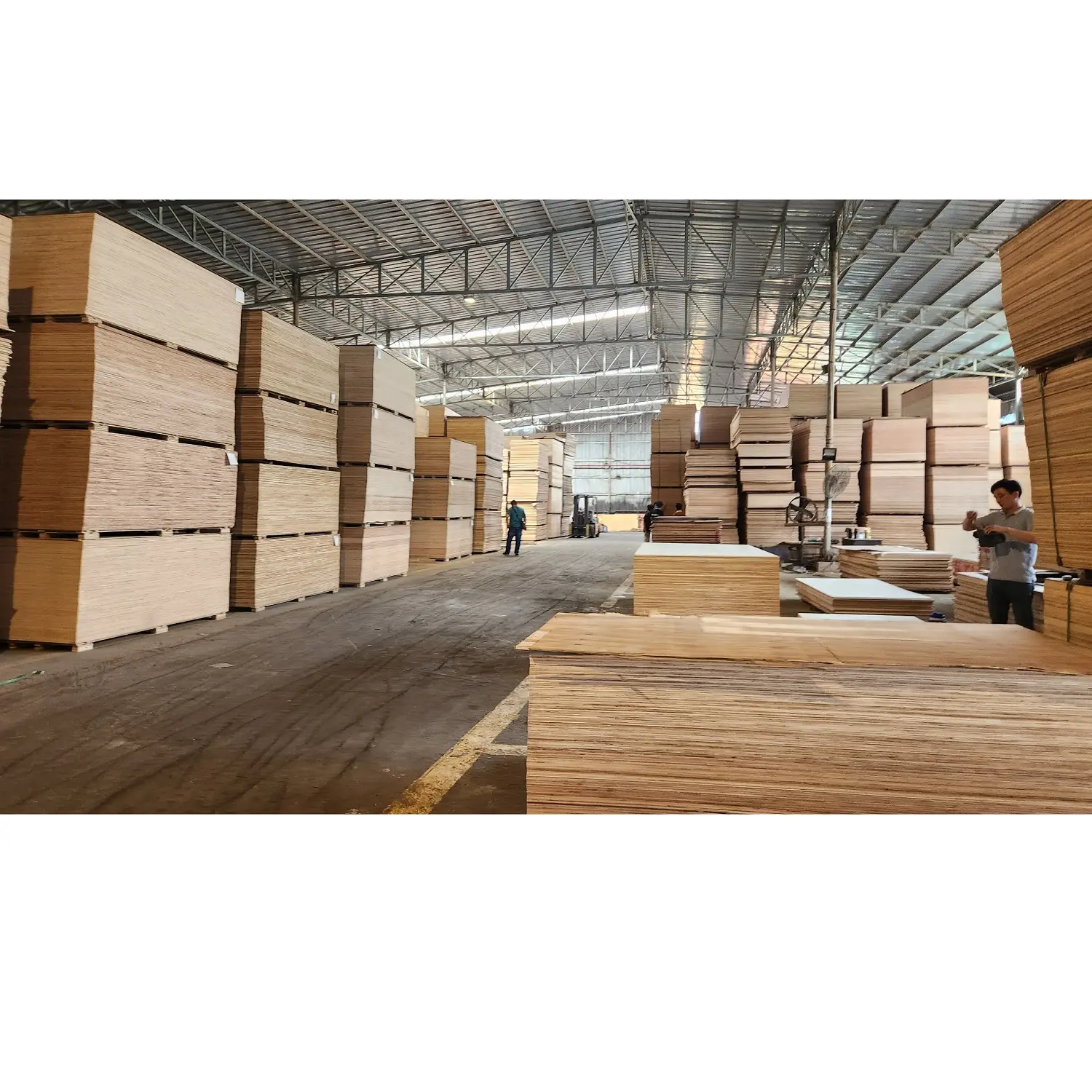 9-Ply Boards Timber Beam Industrial Outdoor FIRST-CLASS Acacia Pine 17mm Waterproof Film Faced Plywood