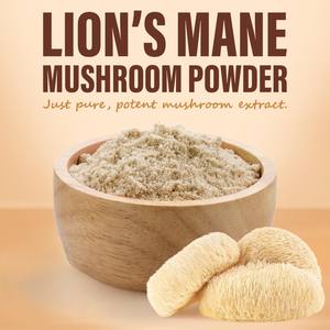 Poudre de champignon crinière de lion pure, superaliment pour le corps, favorisant la concentration cérébrale, l'énergie et la santé immunitaire, pour les smoothies et le café - Product Image 5