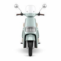 Skuter Listrik Retro 1000W 60V Streetbikes Moped Klasik 55km/jam E-Bike Komuter Perkotaan
