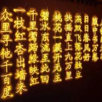 Lettres néon LED suspendues de qualité supérieure, guirlande lumineuse extérieure personnalisée, bannière décorative, enseigne poétique pour l'atmosphère du jardin et des arbres