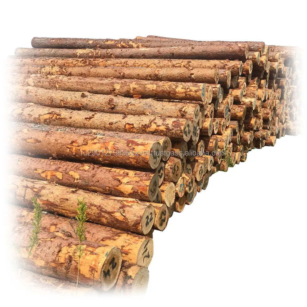 Горячая Распродажа долговечность древесины из сосновой пилы с высоким уровнем влагостойкости из-за присутствия смолы