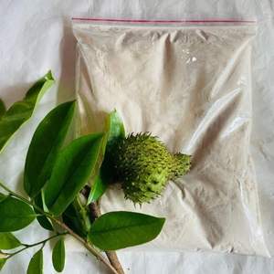 Meilleure vente poudre d'extrait de graviola poudre de fruit de corossol pur naturel de l'usine du Vietnam - Product Image 1