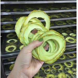 Meilleur fournisseur melon cantalouge séchage sous vide - Product Image 3